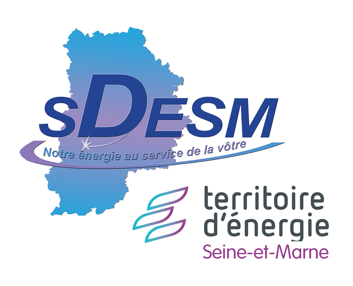 Logo SDESM