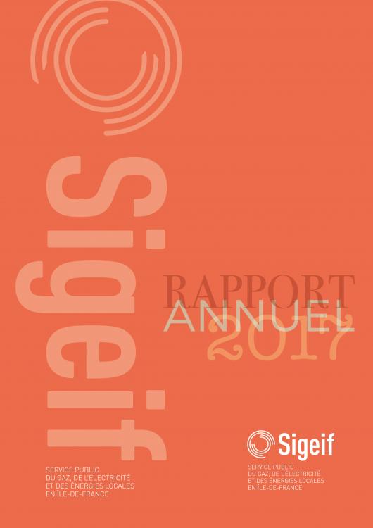 Rapport annuel 2017