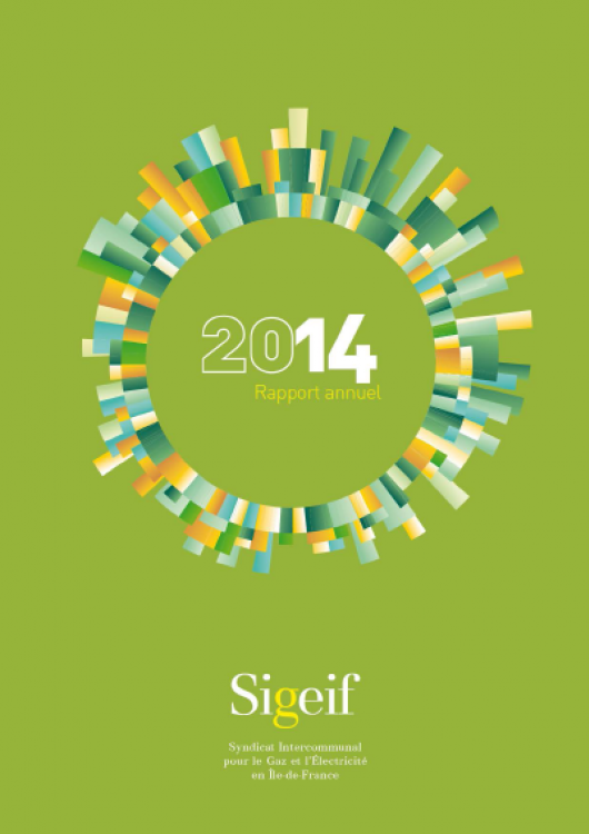 Rapport d'activité 2014 du Sigeif