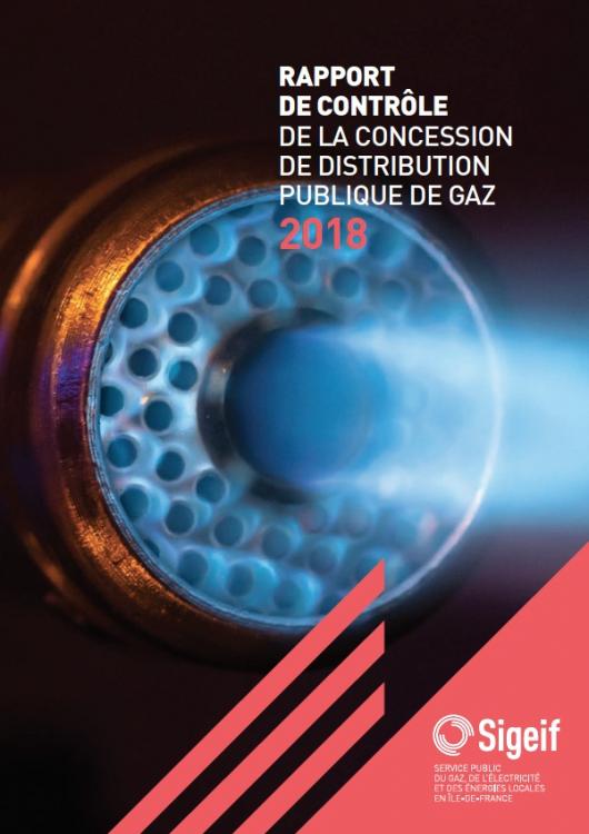 RAPPORT DE CONTRÔLE GAZ 2018 