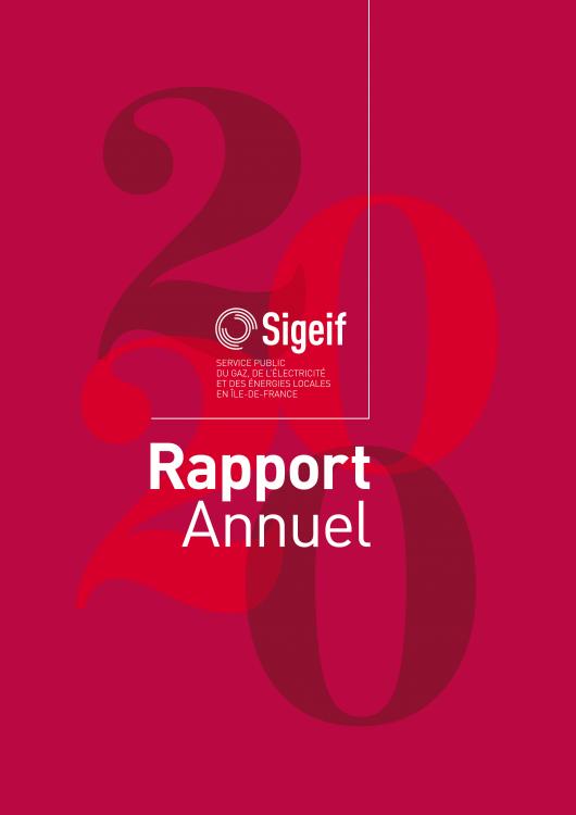 RAPPORT ANNUEL 2020