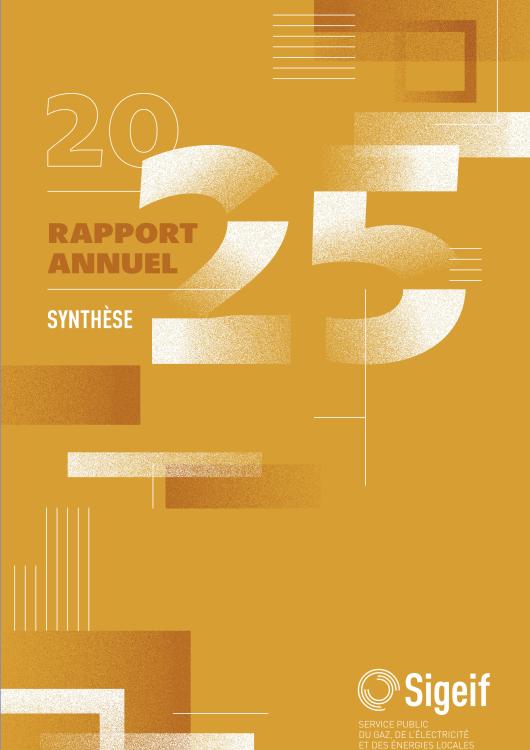 SYNTHÈSE DU RAPPORT ANNUEL 2025